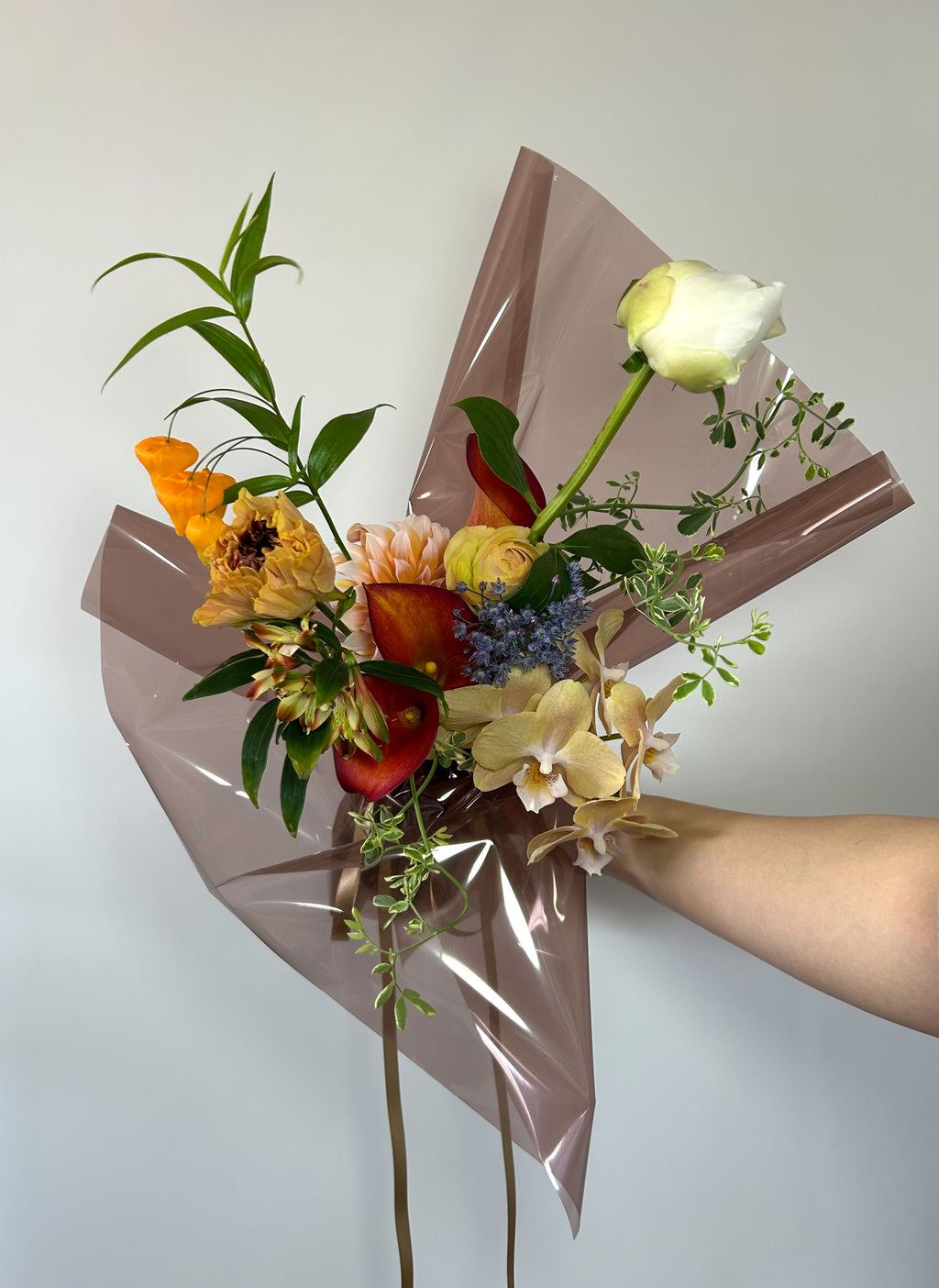 APELITIVO / Still Bouquet - L